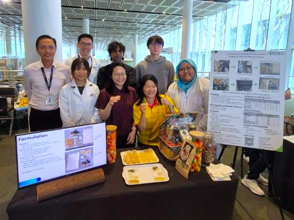 Antioxidant-Rich Instant Traditional Chinese Medicine (TCM) Soup