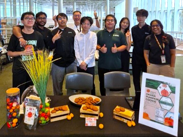 Functional Okara Cookies With Pumpkin